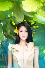组图：张璇森林唯美写真 清新脱俗宛如仙子
