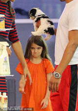 组图：苏瑞宠物店遭捉弄头顶小狗表情囧