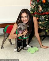 组图:C罗女友亮相圣诞活动 遭爱犬狂舔表情享受