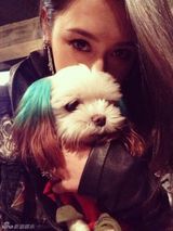 组图：柯震东绯闻女友程颖婕自拍美图