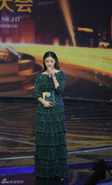 组图：首届电视剧导演委员会表彰大典