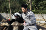 组图：刘嘉玲调戏大熊猫遭拒 郭富城遮面自拍