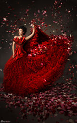 组图：李涵为航天英雄唱颂歌 红色写真曝光