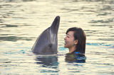 组图：张静初与海豚水中共舞 亲密接吻羡煞旁人