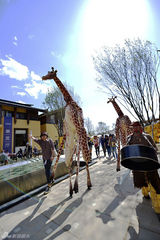 组图：胡军李亚鹏现身COART现场卖萌合照