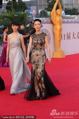 组图：居文沛和车永莉及颜丙燕红毯争妍斗艳