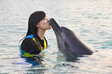 组图：张静初与海豚水中共舞 亲密接吻羡煞旁人