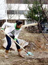 幻灯图：李冰冰启动绿色长城计划 命名树苗玉树长青