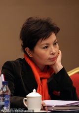 组图：李瑞英两会讨论认真发言 宋祖英帅气行军礼