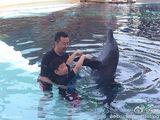 组图：郭涛石头与海豚亲密互动 亲吻有爱