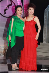 组图：汪明荃关菊英红配绿 罗兰胡枫刘以达同场