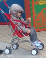 组图：张柏芝携两儿子同游海洋公园 儿子可爱卖萌