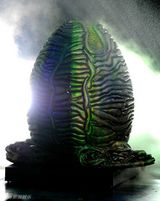 组图：卡梅隆诺兰齐聚尖叫奖 舞台焚人触目惊心