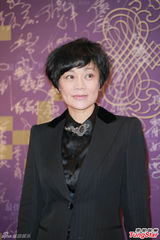 组图：章子怡火红包身裙挽手梁朝伟 宗师夺4奖