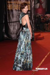 组图：金钟奖红毯天心印花长裙衬托真女人气质 
