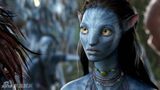组图：《阿凡达》精彩剧照下载 卡梅隆创造奇幻世界