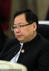 组图：2013两会艺术家的激情澎湃