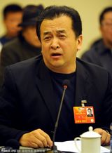 组图：2013两会艺术家的激情澎湃