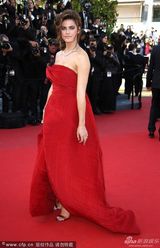 组图：名模戛纳助阵红毯 胸前别铁棍标新立异