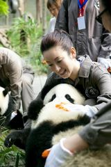 幻灯图：秦海璐四川领养大熊猫 变身“熊猫妈妈”