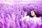 组图：佟丽娅写真曝光 白裙翩翩置身薰衣草从