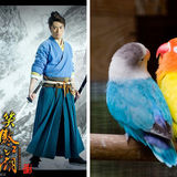 组图：明星遭恶搞 郑嘉颖成沙僧皮特变史莱克