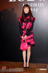 高清组图：林熙蕾优雅亮相 范文芳欲效仿陈慧琳生子