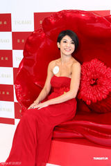 组图：杨采妮一袭红裙娇艳动人 显玉女优雅风范