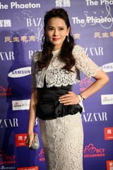 组图：群星亮相BAZAAR明星慈善夜红毯星光熠熠