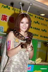 幻灯图：Dada与Ivy大胆送吻蟒蛇 令观者毛骨悚然