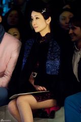 组图：秦海璐出席时尚秀 复古旗袍展现东方美