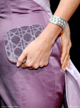 高清组图：奥斯卡红毯 查理兹-塞隆美艳动人