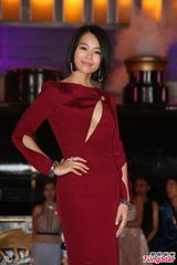 组图：TVB2014巡礼全员出动 女星竞艳旧爱相逢