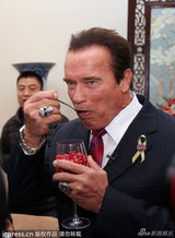 组图：施瓦辛格西安参观兵马俑 华服美女送石榴