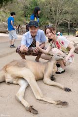 组图：陈赫携妻子畅游澳洲 喂食袋鼠享甜蜜时光