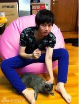 策划：韩星宠物集结号 爱豆们的宠物情人