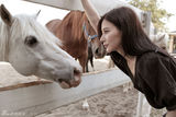 组图：熊乃瑾优雅恬静登封面 与马儿亲密互动
