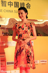 组图：小宋佳亲和形象助阵公益传递爱心