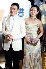 组图：秦海璐现身金像奖红毯 清丽长裙明艳动人