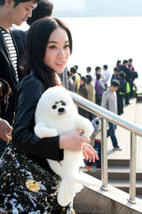 幻灯图：霍思燕上海拍旅游宣传片 抱公仔童心未泯