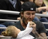 策划：七公主和萌爸贝克汉姆的亲密瞬间