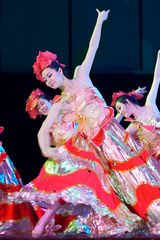 高清组图：谭晶王宏伟二重唱《心连心》剧照