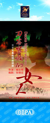 组图：2012年首都电视节目秋推会海报展示