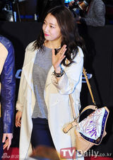 组图：朴信惠昌珉等助阵《特种部队2》VIP首映