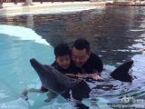 组图：郭涛石头与海豚亲密互动 亲吻有爱