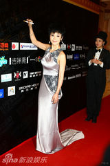 组图：石小群亮相时尚盛典 银色晚装勾勒身材