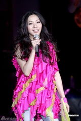 组图：万芳办演唱会庆出道20年 众好友站台助阵