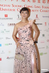 组图：靳羽西车永莉吕燕等出席慈善晚宴