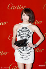 高清组图：刘嘉玲阮经天张智霖出席名店开幕派对