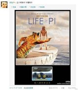 组图：微博掀少年派模仿潮 明星草根齐上阵